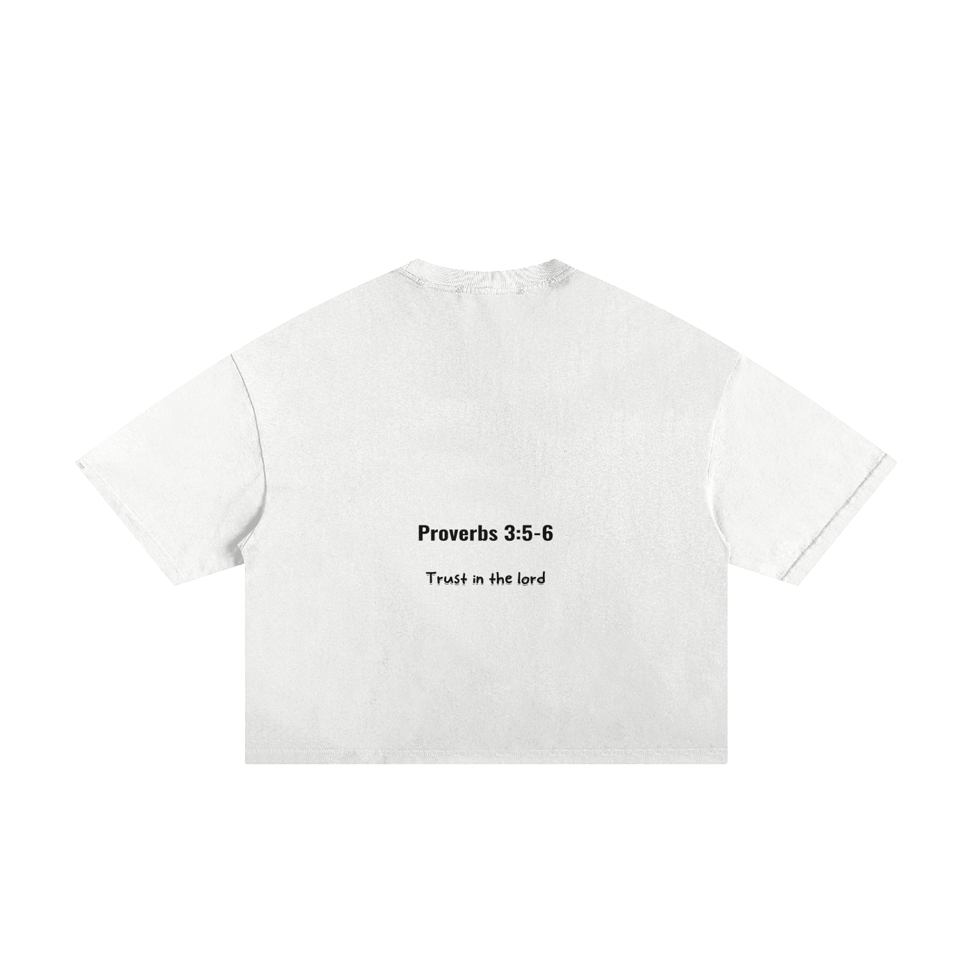 PROVERBS 3:5-6 TEE